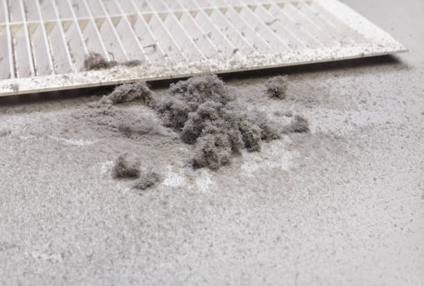 Best Home Air Vent Cleaning  in Bennington, NE